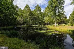 1280 Jewell Hollow Rd, Luray, VA 22835 - Photo 60