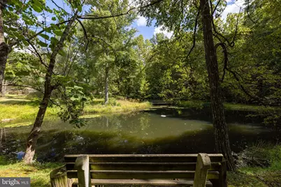 1280 Jewell Hollow Road, Luray, VA 22835 - Photo 56