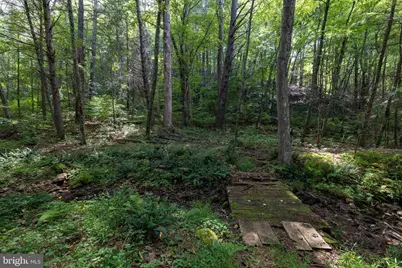 1280 Jewell Hollow Road, Luray, VA 22835 - Photo 68