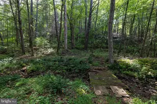 1280 Jewell Hollow Rd, Luray, VA 22835 - Photo 68