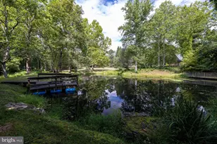 1280 Jewell Hollow Rd, Luray, VA 22835 - Photo 58