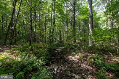 1280 Jewell Hollow Road, Luray, VA 22835 - Photo 70