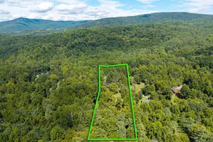 1280 Jewell Hollow Rd, Luray, VA 22835 - Photo 80