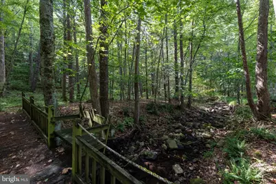 1280 Jewell Hollow Road, Luray, VA 22835 - Photo 64