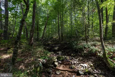 1280 Jewell Hollow Road, Luray, VA 22835 - Photo 72