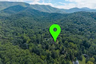 1280 Jewell Hollow Rd, Luray, VA 22835 - Photo 92