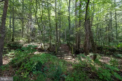 1280 Jewell Hollow Road, Luray, VA 22835 - Photo 62