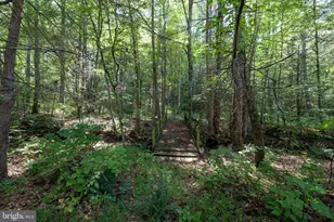 1280 Jewell Hollow Rd, Luray, VA 22835 - Photo 62