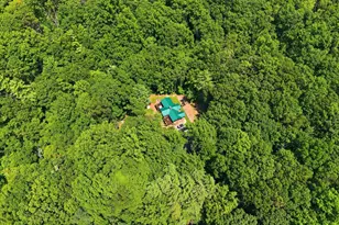 2250 Jewell Hollow Rd, Luray, VA 22835 - Photo 1