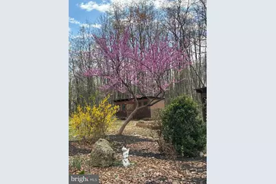 1401 Yagers Road, Luray, VA 22835 - Photo 4