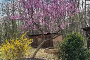 1401 Yagers Rd, Luray, VA 22835 - Photo 4