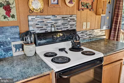 665 Overlook Drive, Rileyville, VA 22650 - Photo 22