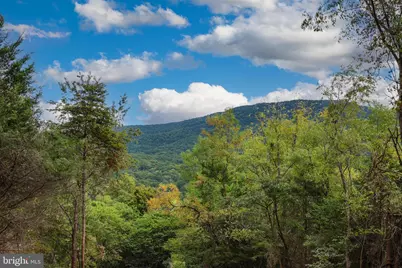 97 Gracie Lane, Luray, VA 22835 - Photo 14