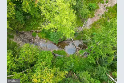 97 Gracie Lane, Luray, VA 22835 - Photo 28