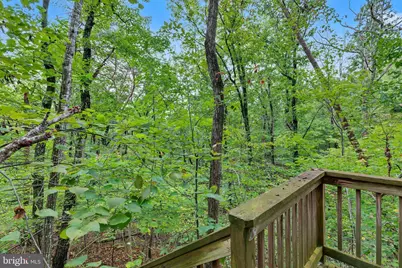 1272 Shipwreck Road, Shenandoah, VA 22849 - Photo 26