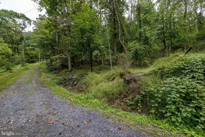 Park Line Road, Stanley, VA 22851 - Photo 14