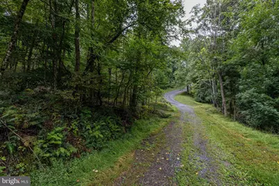 Park Line Road, Stanley, VA 22851 - Photo 12