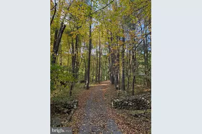 2250 Jewell Hollow Road, Luray, VA 22835 - Photo 64