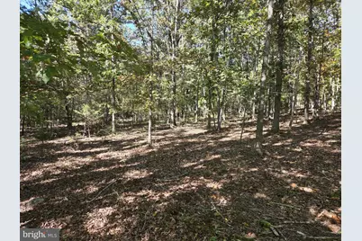 0 N Egypt Bend Road, Luray, VA 22835 - Photo 6