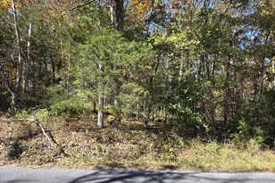 0 N Egypt Bend Rd, Luray, VA 22835 - Photo 1
