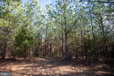 Tbd W Gretna, Sandy Level, VA 24161 - Photo 20