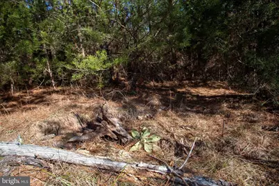 Tbd W Gretna, Sandy Level, VA 24161 - Photo 12