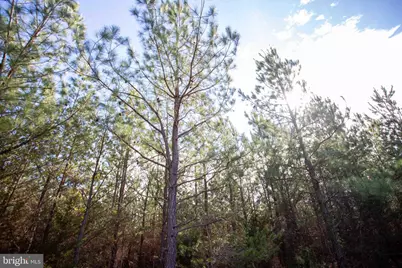 Tbd W Gretna, Sandy Level, VA 24161 - Photo 18