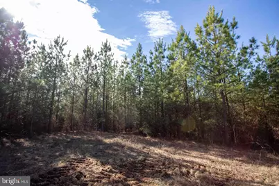 Tbd W Gretna, Sandy Level, VA 24161 - Photo 14