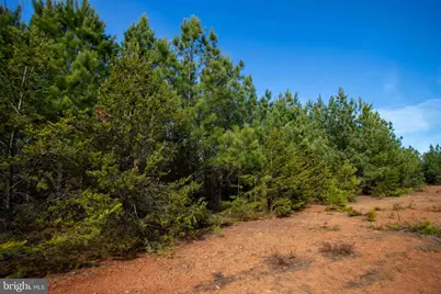 Tbd W Gretna, Sandy Level, VA 24161 - Photo 30