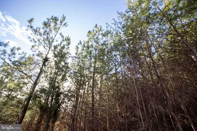 Tbd W Gretna, Sandy Level, VA 24161 - Photo 6