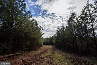 Tbd W Gretna, Sandy Level, VA 24161 - Photo 24