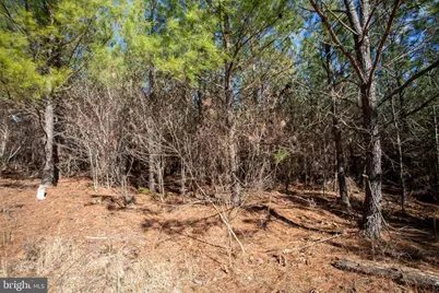 Tbd W Gretna, Sandy Level, VA 24161 - Photo 10