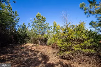 Tbd W Gretna, Sandy Level, VA 24161 - Photo 2