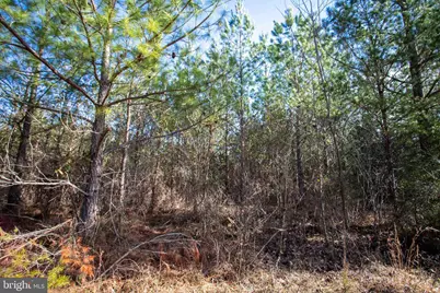 Tbd W Gretna, Sandy Level, VA 24161 - Photo 22