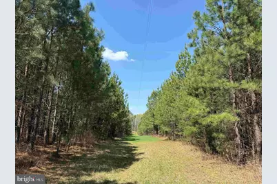 Dabney House Rd. - (Tract: Pittsylvaniacompton-1), Java, VA 24565 - Photo 6
