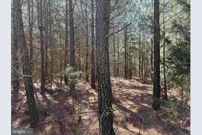 Dabney House Rd. - (Tract: Pittsylvaniacompton-1), Java, VA 24565 - Photo 10