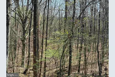 Dabney House Rd. - (Tract: Pittsylvaniacompton-1), Java, VA 24565 - Photo 8