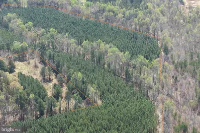Dabney House Rd. - (Tract: Pittsylvaniacompton-1), Java, VA 24565 - Photo 4