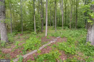 2948 New Hope Rd, Powhatan, VA 23139 - Photo 44