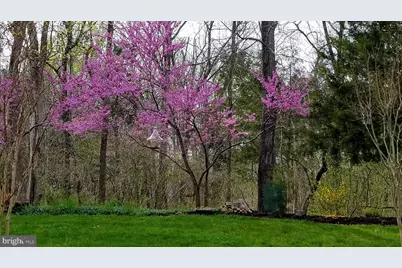 5272 Antioch Ridge Drive, Haymarket, VA 20169 - Photo 44