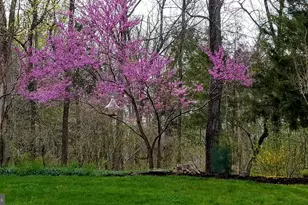 5272 Antioch Ridge Drive, Haymarket, VA 20169 - Photo 44