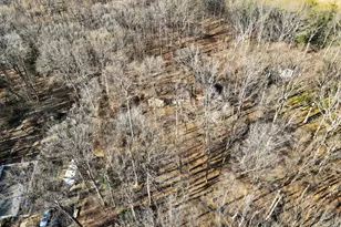 6226 Gwendolyn Dr, Manassas, VA 20112 - Photo 14