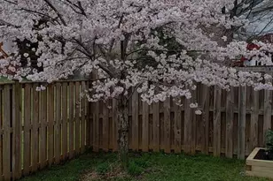 9138 Mineola Ct, Manassas, VA 20111 - Photo 2