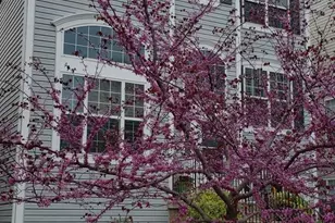 9138 Mineola Ct, Manassas, VA 20111 - Photo 1