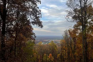 2315 Lookout Rd, Haymarket, VA 20169 - Photo 14