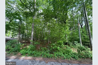 9499 Petterson Lane, Manassas, VA 20112 - Photo 4