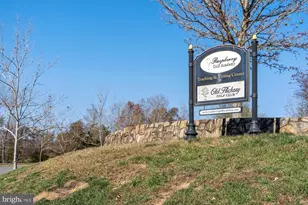 4615 Beaufont Spring Ct, Woodbridge, VA 22192 - Photo 50