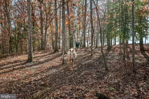 14660 Fitzwater Dr, Nokesville, VA 20181 - Photo 24