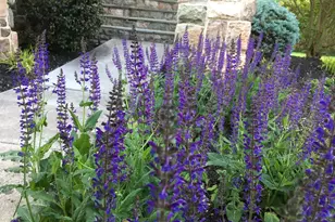 9322 Falling Water Dr, Bristow, VA 20136 - Photo 64