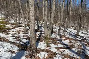 1706 Mercer Rd, Haymarket, VA 20169 - Photo 1